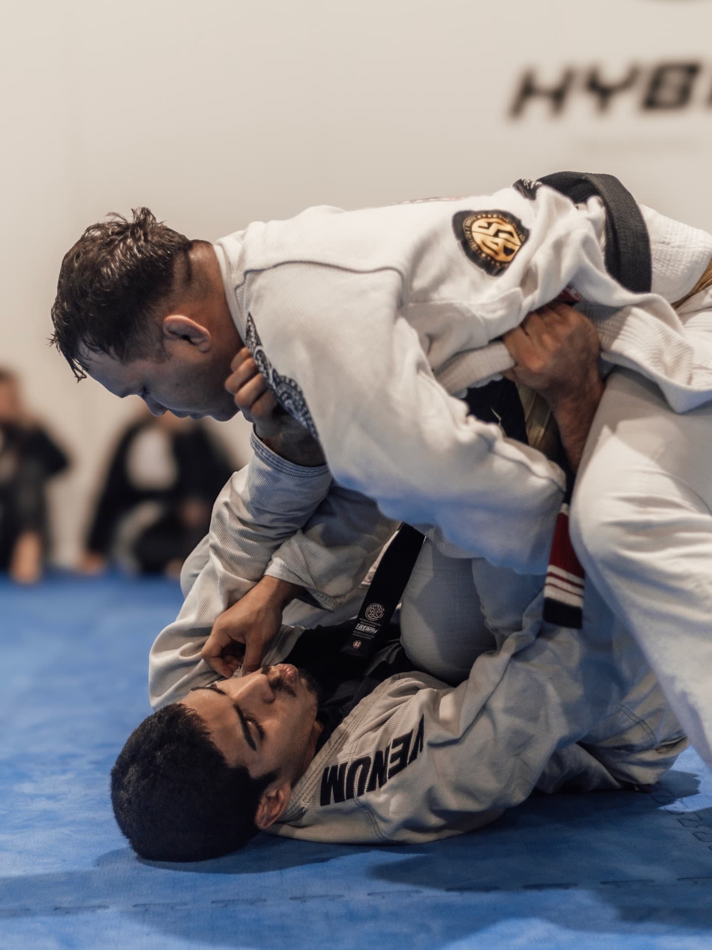 Jiu-Jitsu