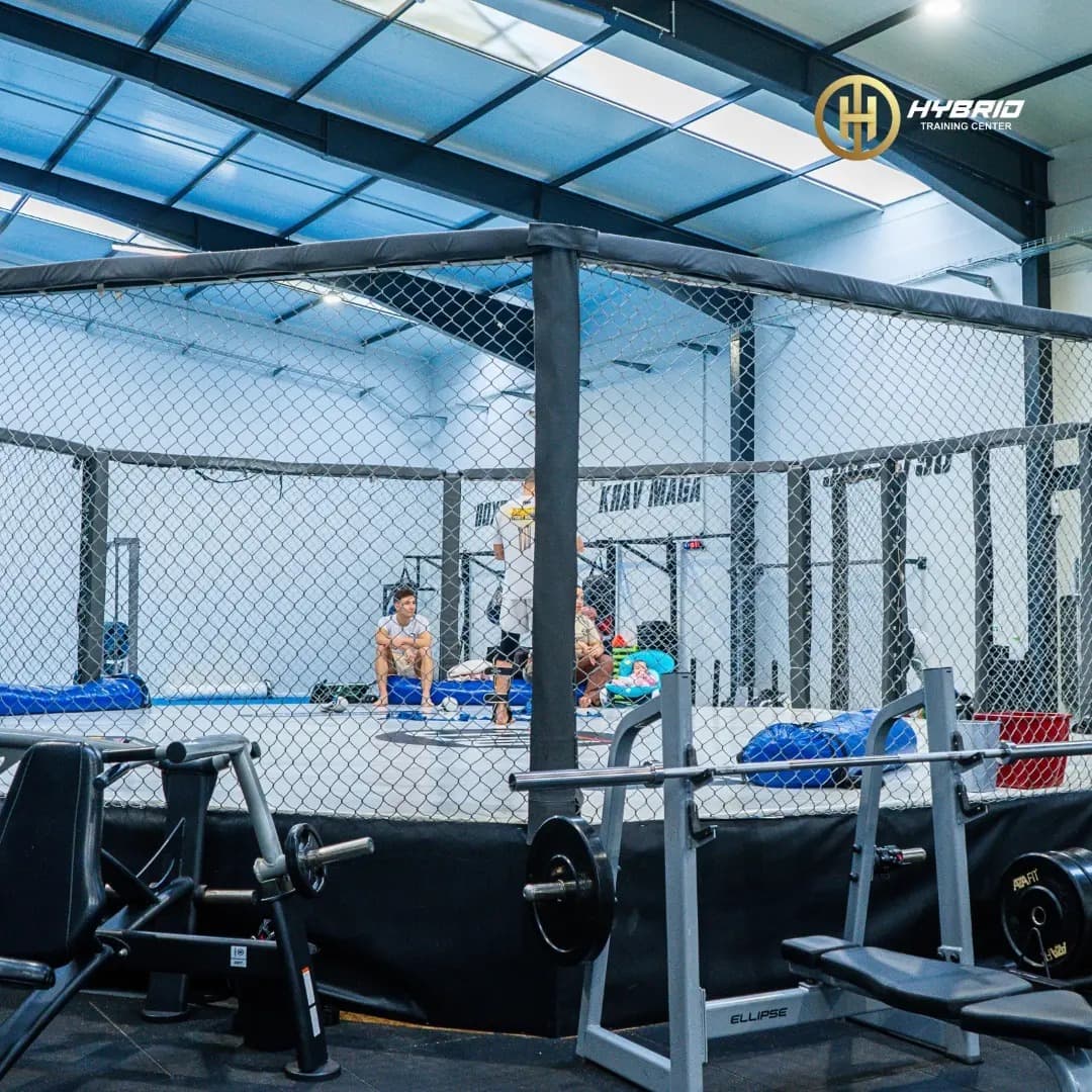 Octogono Profissional